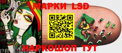 a pvp Пенза